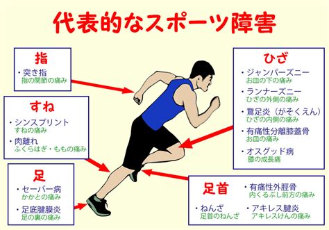 別怪我|スポーツ障害とスポーツ外傷－応急処置「POLICE」。